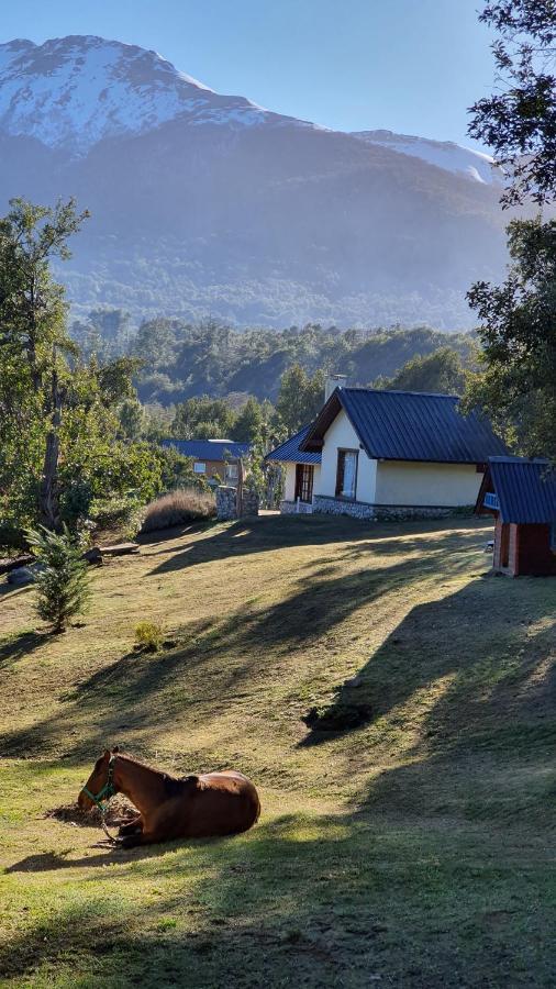 Cabanas & Aparts Lancuyen, Villa De Montana Villa La Angostura Dış mekan fotoğraf