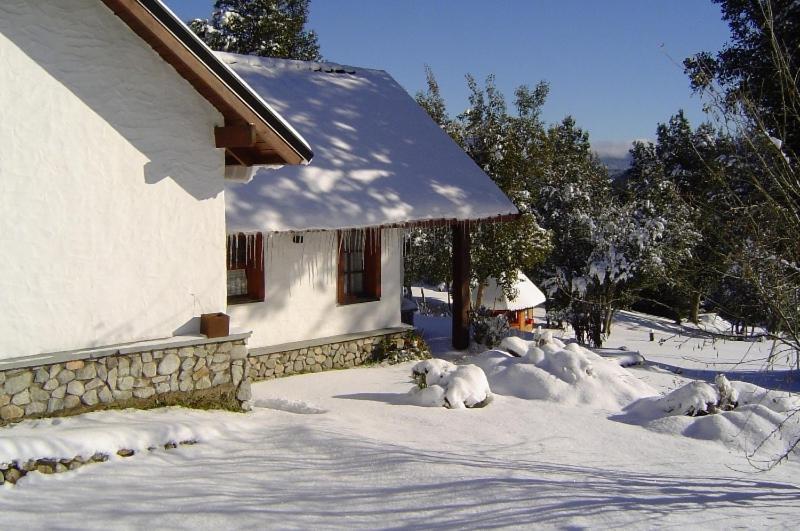 Cabanas & Aparts Lancuyen, Villa De Montana Villa La Angostura Oda fotoğraf